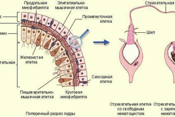 Кракен ссылка на сайт com