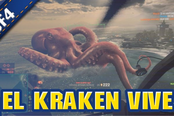 Kraken 24 top