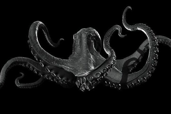 Kraken darkmarket