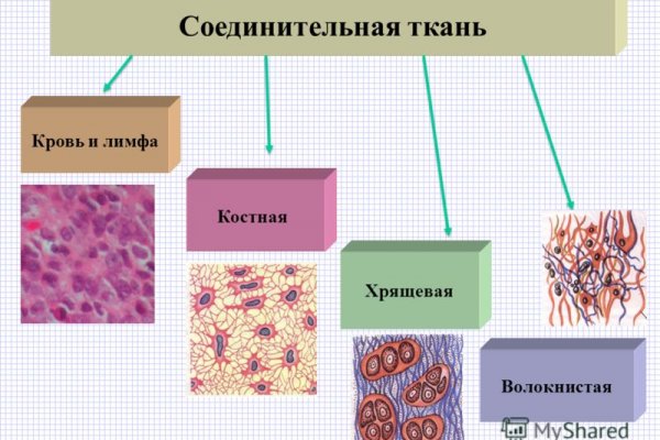 Даркнет ссылка