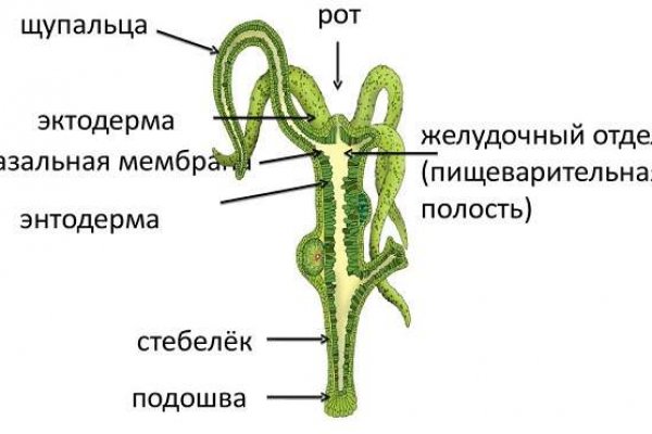 Кракен зеркало впн