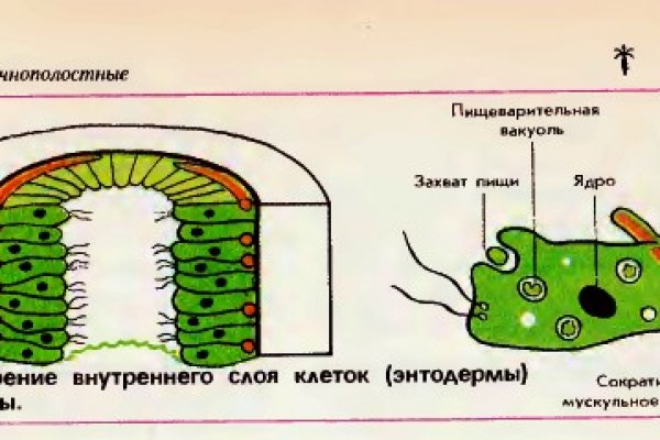 Кракен онлайн vtor run